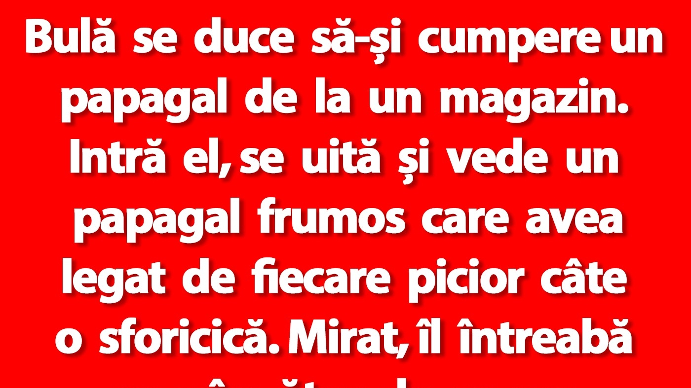 BANC | Bulă se duce să-și cumpere un papagal de la un magazin