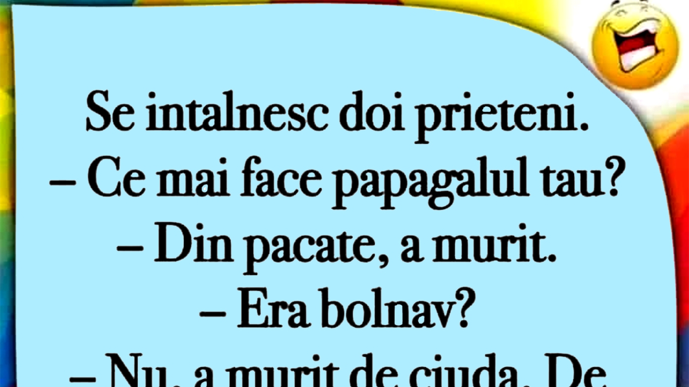 BANC | "Ce mai face papagalul tău?"