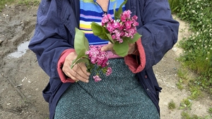 Povestea dramatică a lui "tanti Mimi", o pensionară din Filiași. Ce a ajuns să facă pentru bani, la 70 de ani