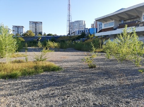 Stadionul Municipal a ajuns o ruină! Gazonul a dispărut, au apărut pietre, iar bălăriile au crescut peste tot