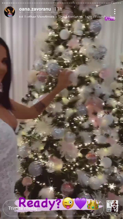 Oana Zăvoranu s-a pregătit de sărbătorile de iarnă! Cum arată bradul de Crăciun al vedetei?