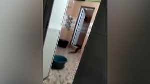 S-au trezit în casă cu un monstru! Oamenii au pus rapid mâna pe telefon şi au filmat, iar imaginile înfricoşătoare au devenit rapid virale