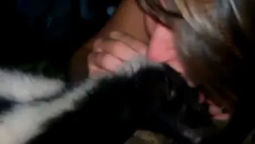 VIDEO Ce nebuna! O bruneta beata moarta saruta pasional un sconcs mort!