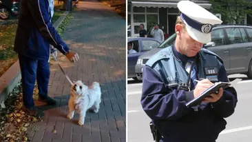 Amendă de 2.000 de lei pentru proprietarii de animale de companie din România, care fac această greșeală