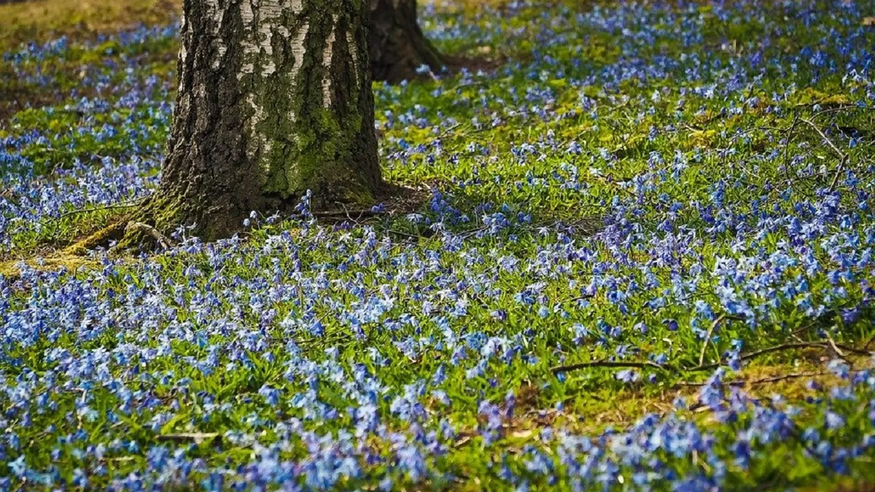 Prognoza meteo în România, 9 mai 2021. Temperaturile cresc în toată țara