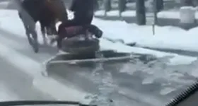 Galerie foto - poza 3