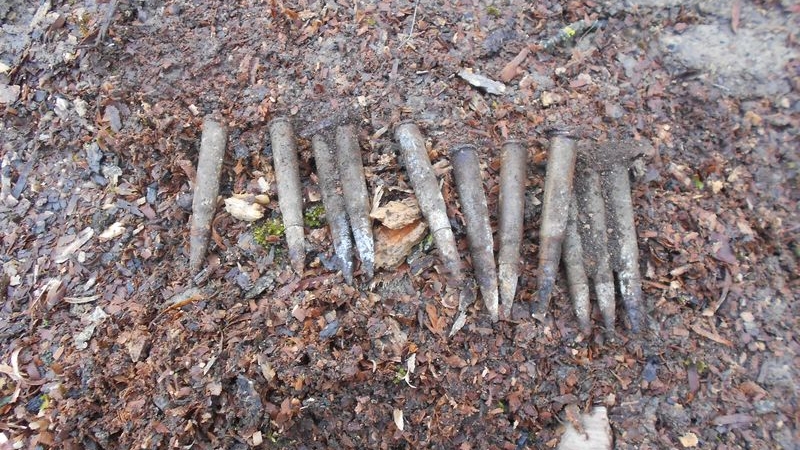 Peste 100 de cartușe de infanterie, găsite de un bărbat care planta copaci
