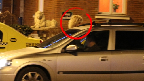 Despărţirea de milionar a lăsat urme! Aflată în divorţ de ”şmecheraşul cu elicopter”, Sidonia a ajuns să…