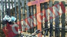 Medicii l-au lasat sa moara cu zile