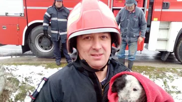Un cățeluș aruncat de stăpân într-o pungă a fost salvat de pompierii craioveni dintr-un tub de ciment. Fratele lui n-a avut, însă, noroc