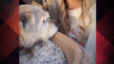 Vedeta de care oamenii râd pentru că își plimbă câinele în cărucior: „Are 15 ani și jumătate și trăiește cea mai frumoasă viață”