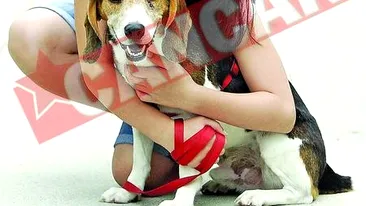 S-a intors acasa dupa cinci ani