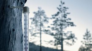 Prognoza meteo joi, 11 februarie 2021. Vremea va intra într-un proces de răcire accentuată