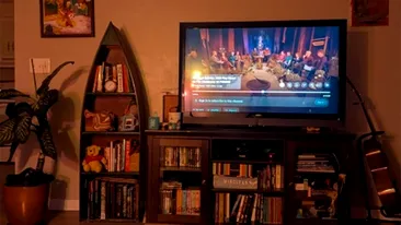 Iluzie optică | Doar un geniu poate găsi pisica ascunsă în această fotografie