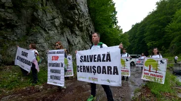 Protest în inima Parcului Național Domogled pentru a expune cea mai mare criză de mediu din Europa