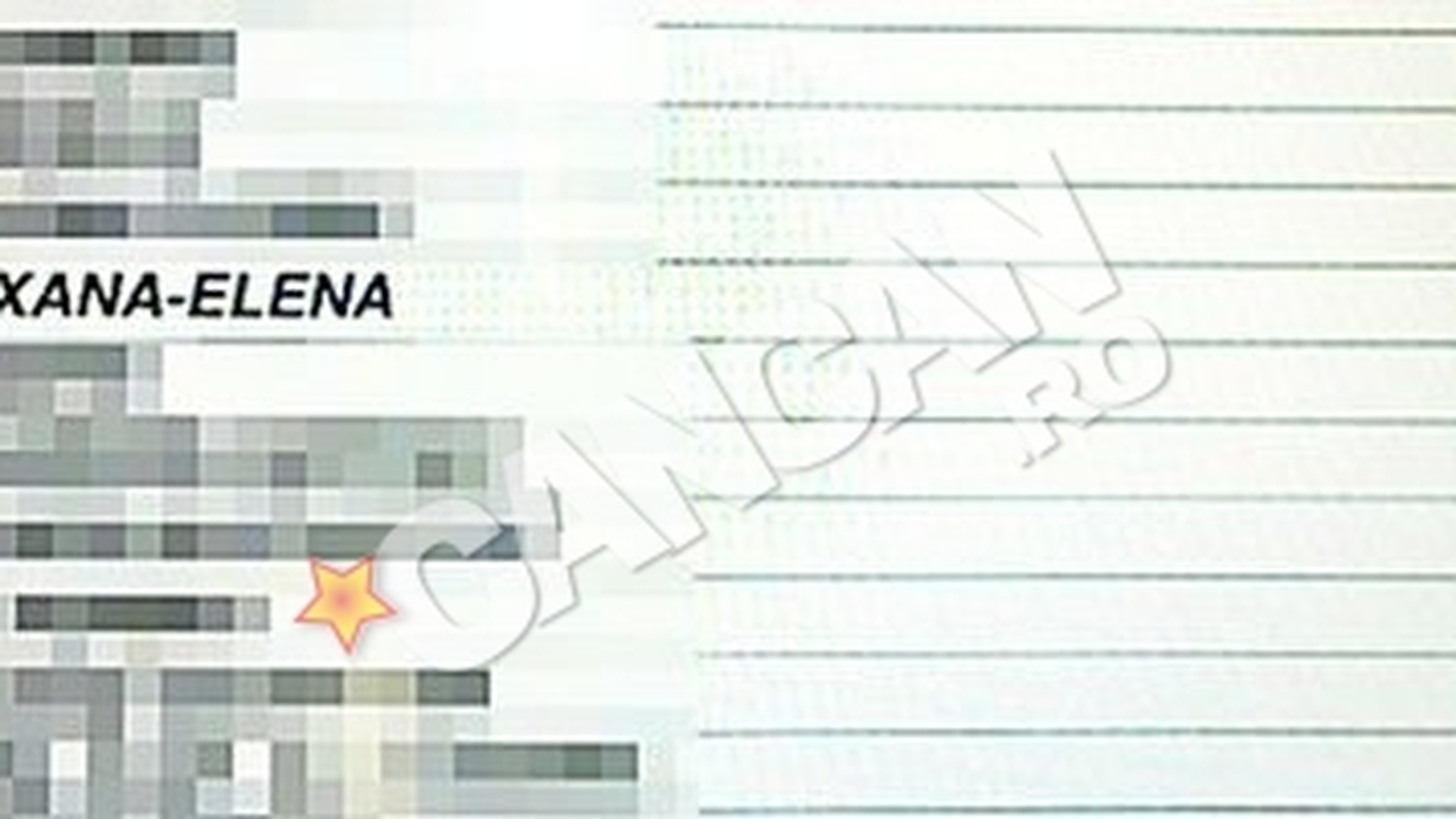 Ocupata cu divortul, Roxana Ionescu nu prea a avut timp sa invete. Licentiata cu nota 6