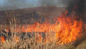 Incendii de vegetatie in regiunile spaniole Valencia si Barcelona