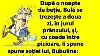 BANC | Bulă, după o noapte de beție: Bubulino, hai că nu am fost chiar așa de beat!