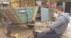 Galerie foto - poza 1