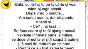 BANC | "Bulă, sună-l și tu pe taică-tu și vezi când ajunge acasă!" "Am sunat, mama, dar răspunde o tanti"