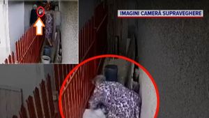 Cățel răpit în Galați! Două pensionare n-au mai suportat lătratul lui!