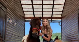 Galerie foto - poza 2