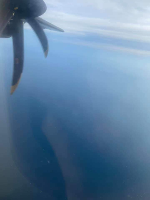 Denisa Nechifor a răbufnit după ce a călătorit cu un avion de la Tarom extrem de fragil: “Îți faci și o cruce…”