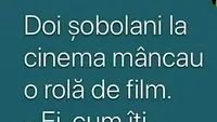 BANC | Doi șobolani la cinema