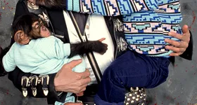 Galerie foto - poza 4