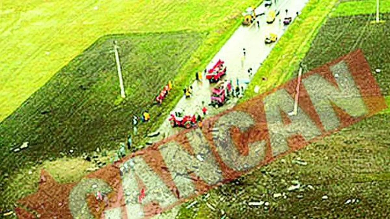 12 ani de inchisoare in cazul tragediei de la Mihailesti