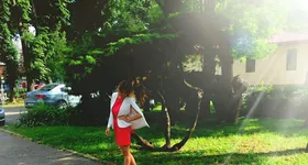 Galerie foto - poza 3