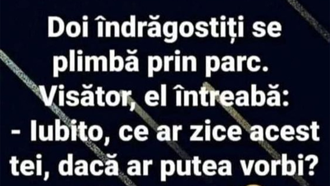 BANC | "Iubito, ce ar zice acest tei dacă ar putea vorbi?"