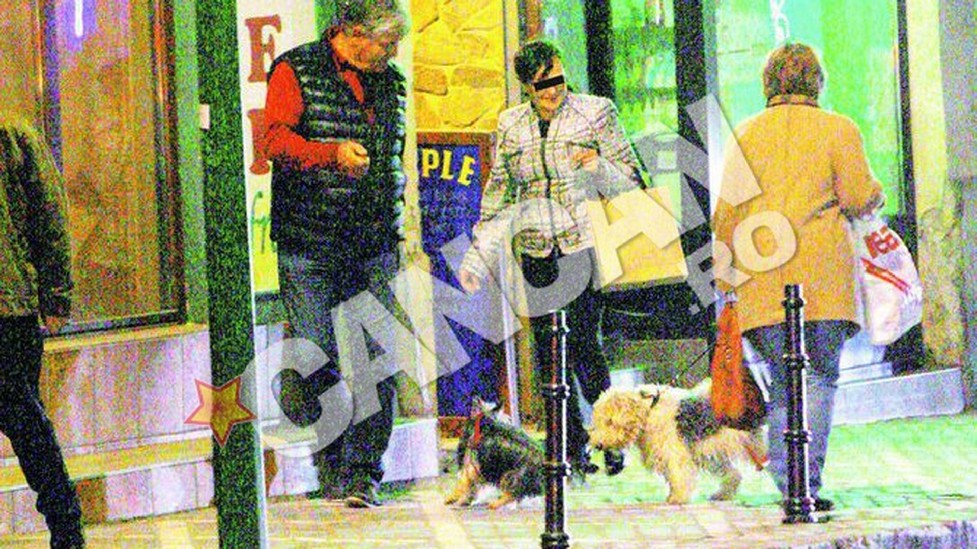 "Falcosul" s-a bagat intr-o incaierare canina! Andone si-a salvat "latosul" de coltii unui dulau