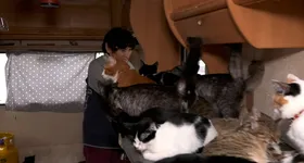 Galerie foto - poza 3