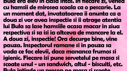 BANC | Bulă era elev în clasa întâi. În fiecare zi, venea cu hamsii de mirosea școala ca o pescărie