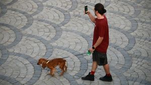 De ce a interzis Iranul plimbatul câinilor în spațiile publice. Acum autoritățile extind măsura