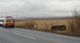 Galerie foto - poza 3