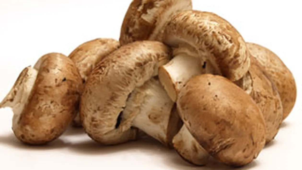 Doua fetite de 10 si 13 ani si bunicul lor au murit dupa ce au mancat ciuperci otravitoare!