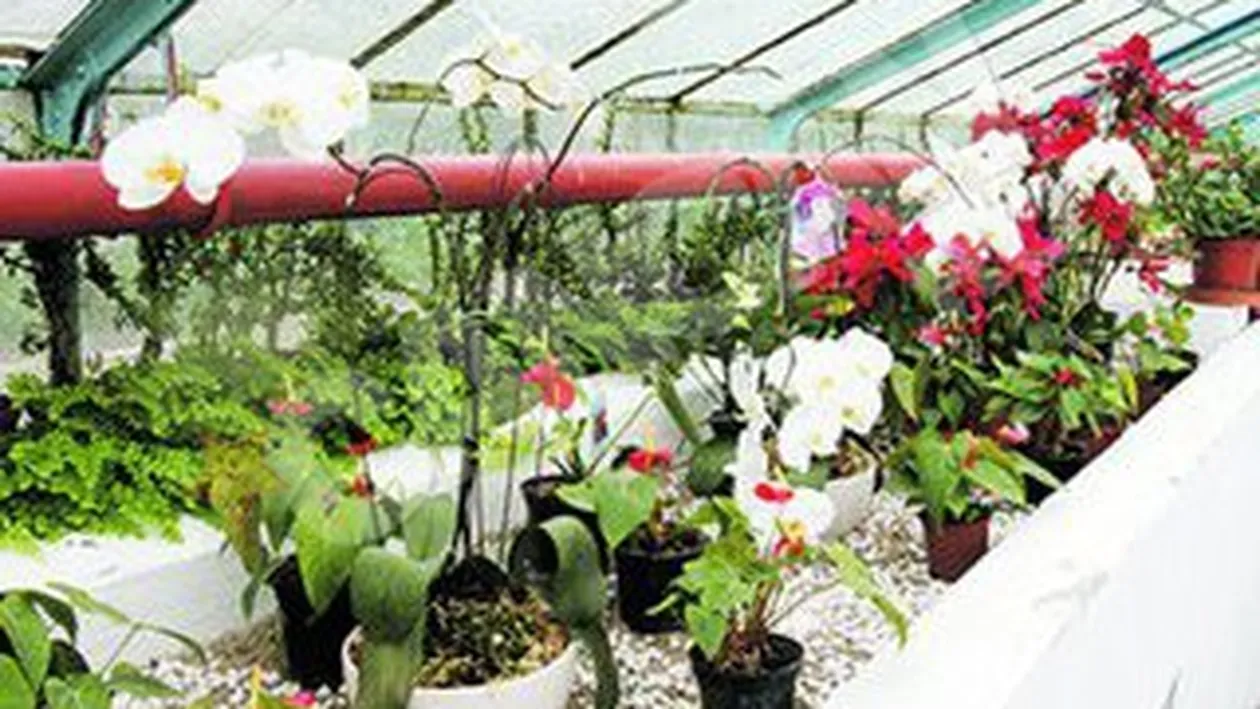 Paradisul secret din Herastrau