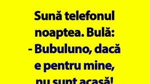 BANC | Sună telefonul noaptea. Bulă: "Bubulino, dacă e pentru mine, nu sunt acasă"