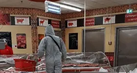 Galerie foto - poza 1