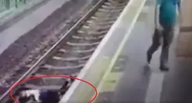 Galerie foto - poza 3