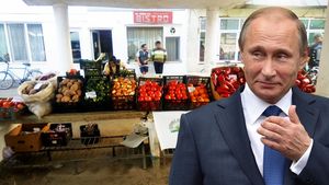 Securitatea mondială alimentară, în pericol! Războiul din Ucraina a făcut ravagii în sectorul agricol