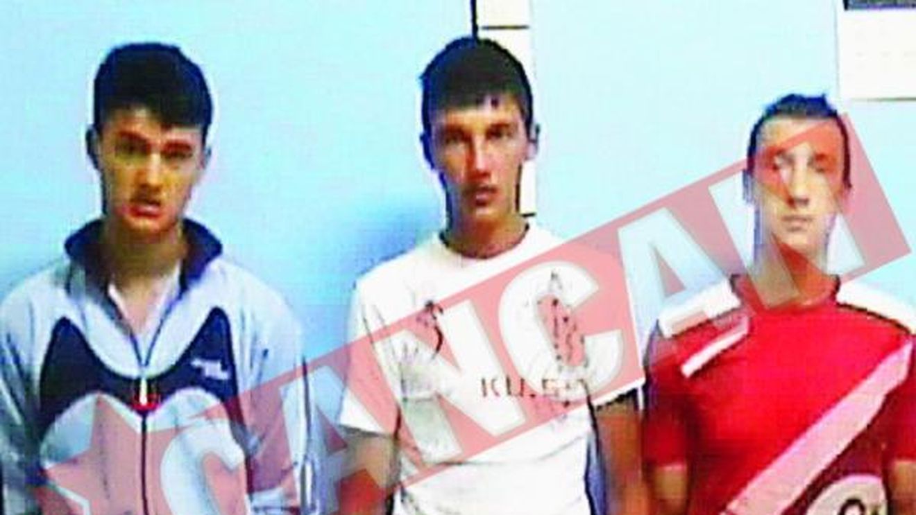 Violata In grup, In Padure