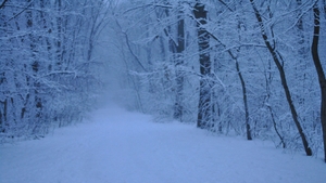 Vreme anormal de rece în următoarele zile! Anunţul meteorologilor