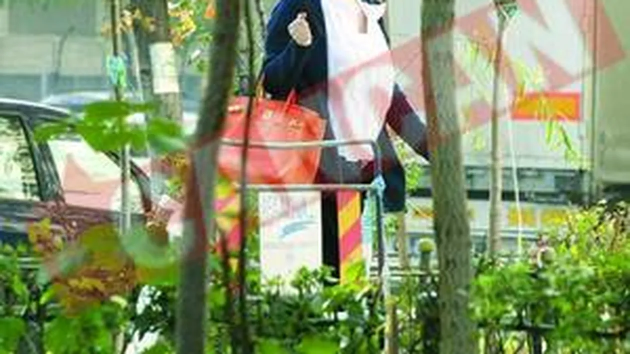 Monica Stan a abandonat televiziunea