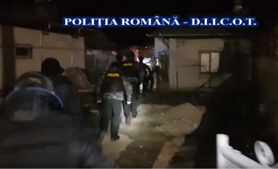 Polițiștii au intrat cu noaptea în cap peste cultivatorul oltean de cannabis