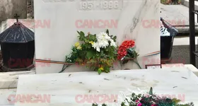 Galerie foto - poza 3