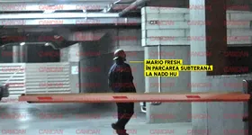 Galerie foto - poza 1