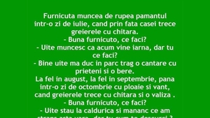 BANCUL ZILEI | Greierele și furnica - varianta 2023